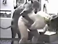 Blonde honey receives drilled by a large pooch